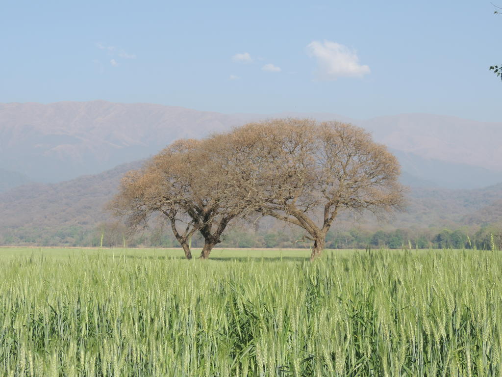 Finca Las Margaritas Chicoana Buitenkant foto