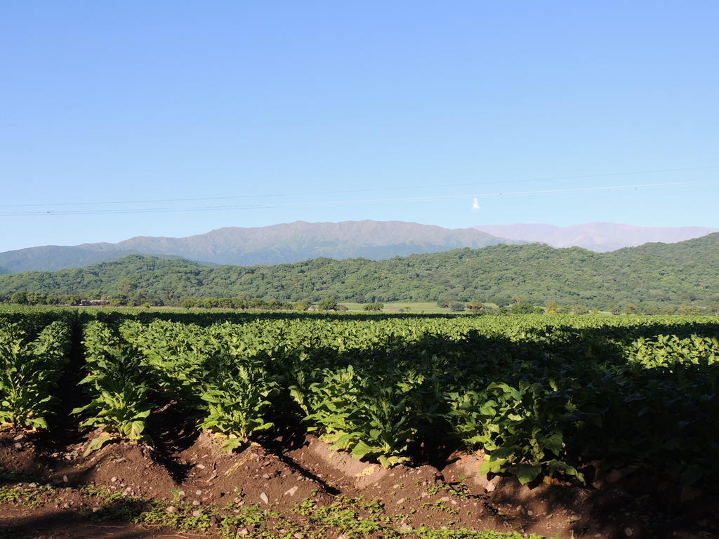 Finca Las Margaritas Chicoana Buitenkant foto
