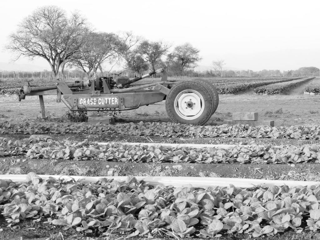 Finca Las Margaritas Chicoana Buitenkant foto