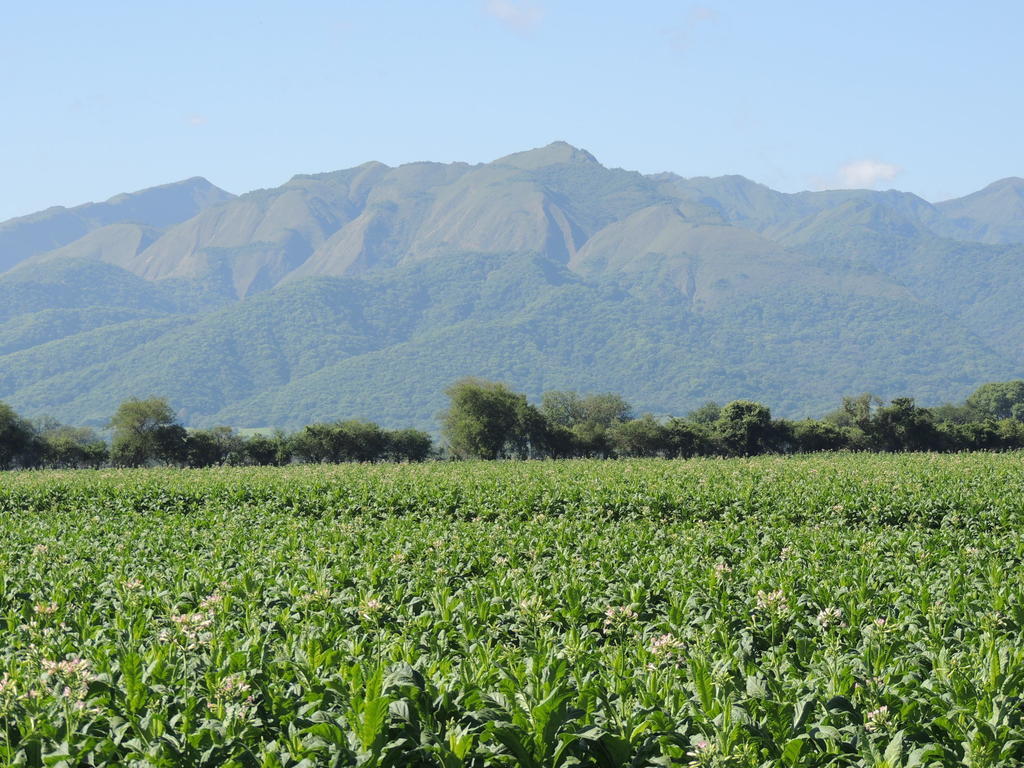 Finca Las Margaritas Chicoana Buitenkant foto